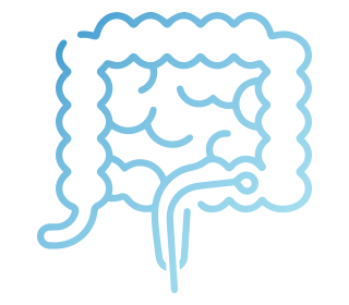 大腸カメラ検査